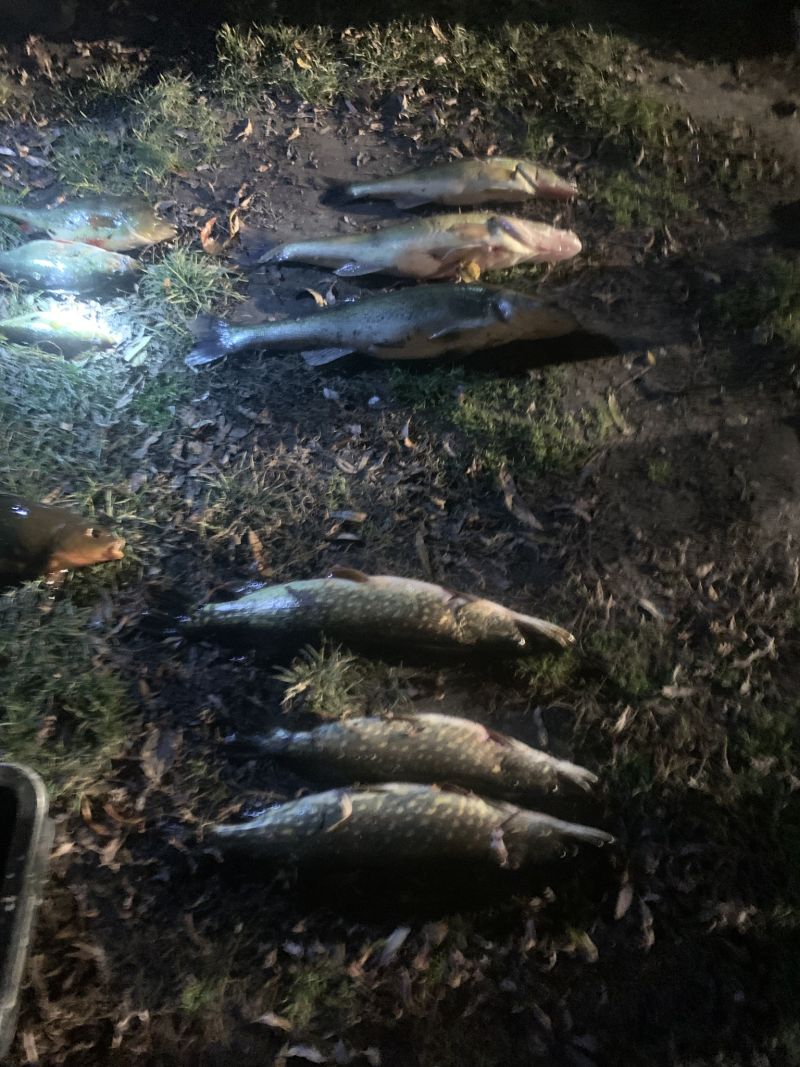 На території заповідника виявили браконьєрів