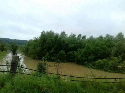 У Тернопільській області підтопленими залишаються 22 га сільгоспугідь