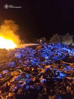 На Тернопільщині від вогню врятували 53 гектари пшениці та 3 гектари лісу