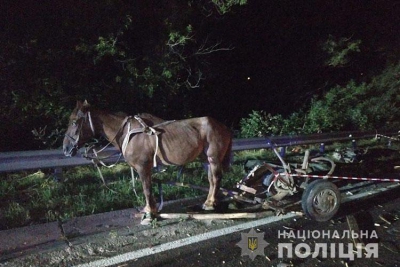 Смертельна ДТП на Тернопільщині: вантажівка наїхала на підводу