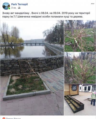 У Тернополі вночі вандали поламали в парку молоді дерева та кущі (фотофакт)