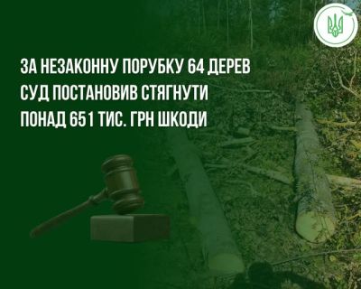 На Тернопільщині чоловік незаконно зрубав 64 дерева: суд зобов’язав відшкодувати понад 651 тисячу гривень