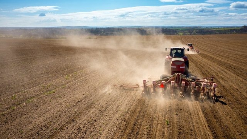 Тернопільщина - у трійці лідерів посівної кампанії