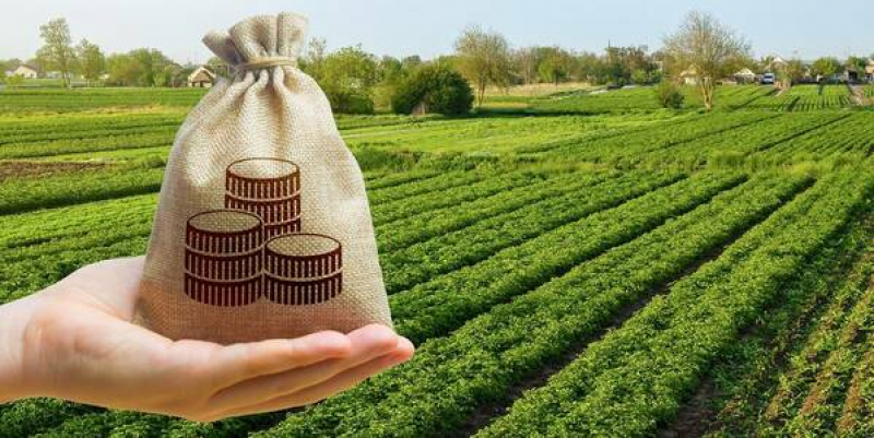 До бюджету Тернопільщини надійшло понад 140 млн грн земельної плати 