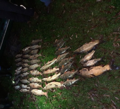 На Тернопільщині браконьєри незаконно виловили майже 50 кг риби
