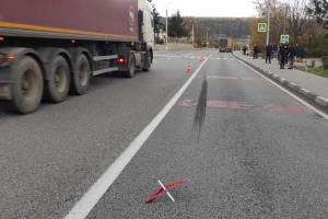 На Тернопільщині під колеса вантажівки потрапила 12-річна дівчинка