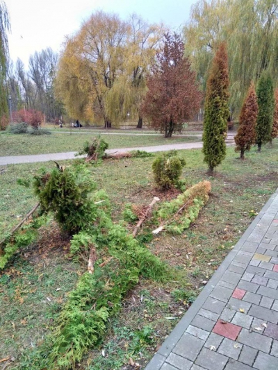 У тернопільському парку вандали понищили алею пам’яті (фото)