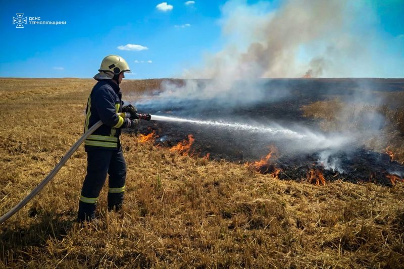 Рятувальники Тернопільщини врятували від вогню 113 гектарів пшениці