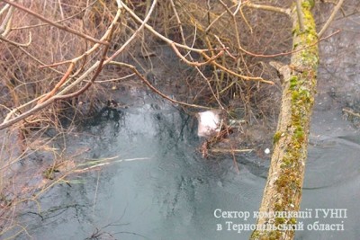 На Тернопільщині чоловік вже вдруге по-звірськи позбавив життя близьких