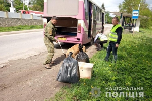 Інформацію про замінування рейсового автобуса на Тернопільщині спростували