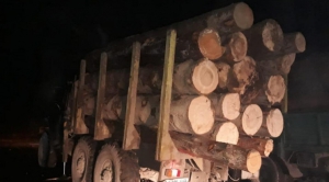 На Тернопільщині з цілою вантажівкою деревини затримали мешканця Львівщини