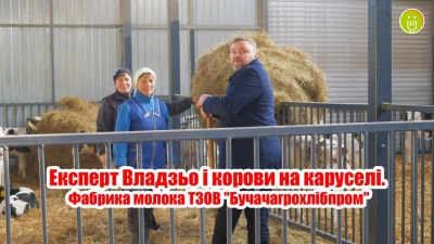 Для корів – карусель та класична музика: відомі фудблогери показали зсередини ферму «Бучачагрохлібпрому» (відео)