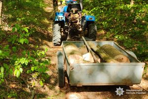 За незаконну порубку дерев на території природно-заповідного фонду судитимуть двох жителів Тернопільщини