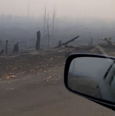 Лісівники з Тернопільщини допомагали гасити пожежі на Житомирщині