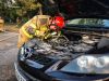 Змія сховалася під капотом Mazda у Тернополі: плазуна визволяли рятувальники
