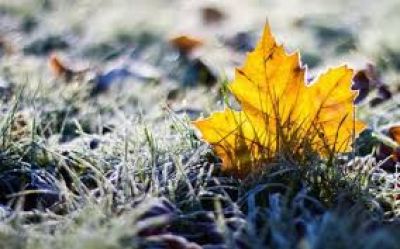 На Тернопільщину насуваються перші заморозки