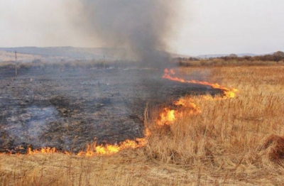 На Тернопільщині ліквідували пожежу торфу