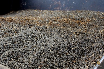 У пожежі на Тернопільщині згоріло 1,5 тони насіння соняшника (фото)