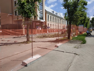 Для привабливості чи на шкоду – у центрі Тернополя вирізають великі липи