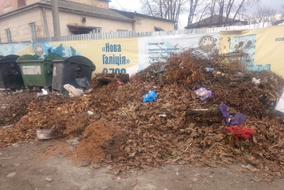 &quot;Не палять, а складають&quot;: у місті на Тернопільщині накидали купи сміття