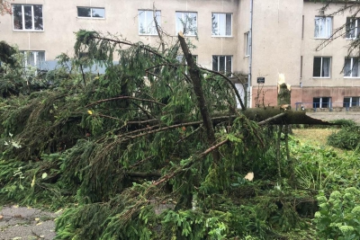 Зірвані дахи, поламані дерева, потрощені теплиці: як на Тернопільщині лютувала негода (фото)