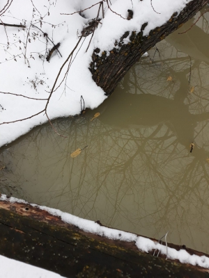 На Тернопільщині ліквідували аварійний скид нечистот у ріку