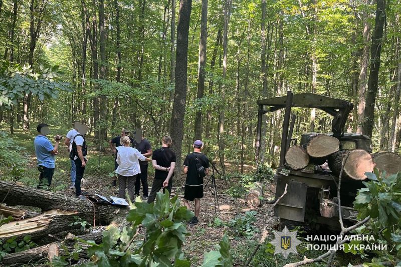 Понад 3 мільйони збитків завдали Тернопільщині «чорні» лісоруби