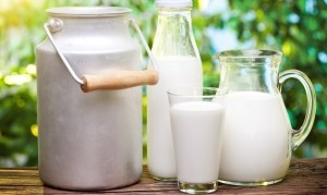 Що сприятиме підвищенню закупівельних цін на молоко на Тернопільщині?