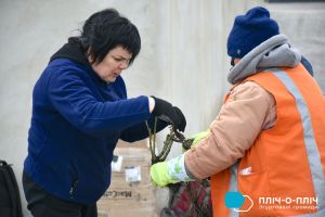 Чортківщина передала 100 саджанців троянд для Снігурівки, що на Миколаївщині