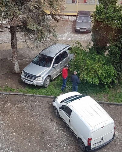 На Тернопільщині водій припаркував автомобіль просто на клумбі (фотофакт)