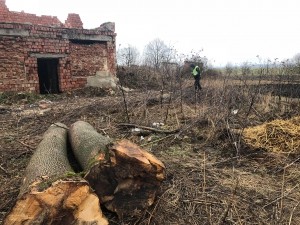 Крадену деревину мер Хоросткова ховає на території підприємства брата свого заступника (фото)