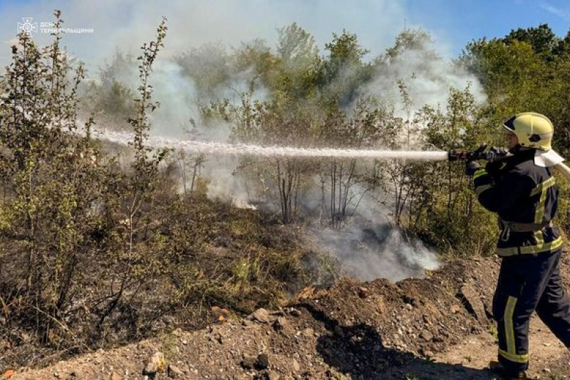На Тернопільщини від вогню рятували лісосмугу та 8 будівель