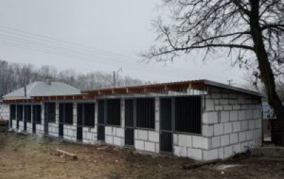 В одному із сіл неподалік Тернополя будують нові вольєри для безпритульних собак