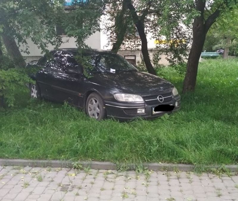 У Тернополі водій залишив авто просто на газоні (фотофакт)