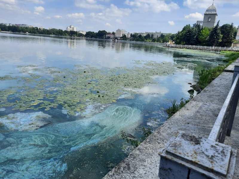 Тернопільський став вкрився голубими плямами (фото)