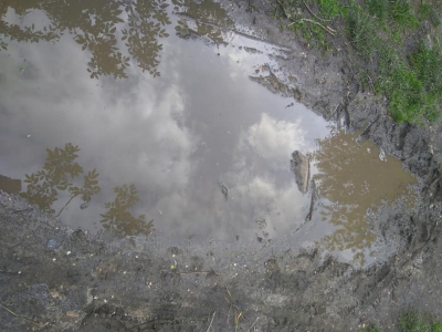 На Тернопільщині водії руйнують відпочинкову зону (фото)