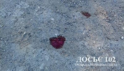 Поліцейські просять відгукнутися очевидців ДТП на Тернопільщині, в якій загинула дівчинка