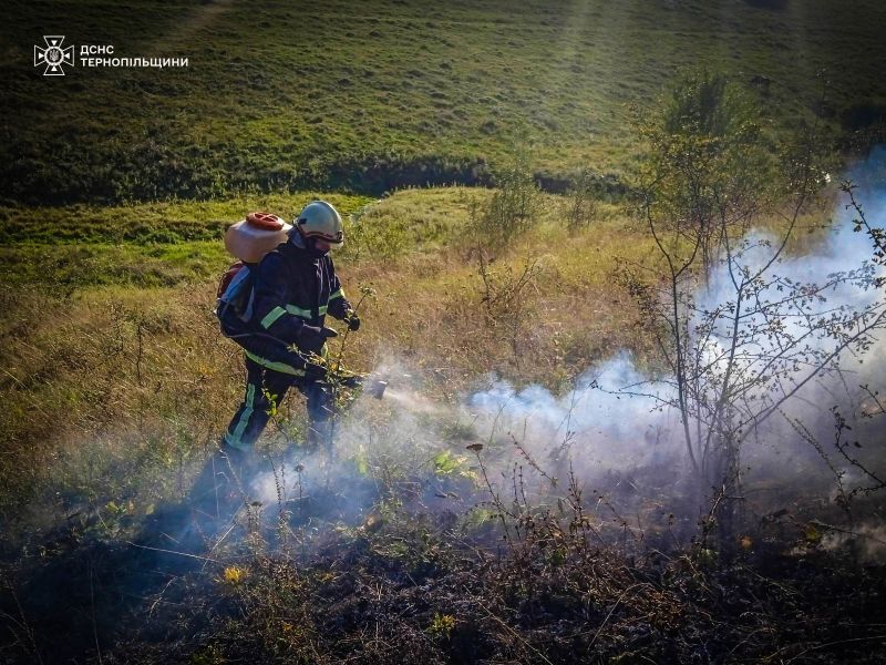 У Тернопільській області ліквідували 7 пожеж