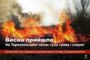 На Тернопільщині горить суха трава і очерет