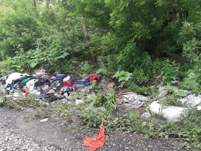 Жахливий сморід: поблизу поля на Тернопільщині – смітник