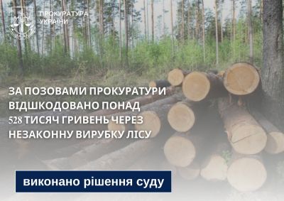 Державне спеціалізоване господарське підприємство «Ліси України» сплатило понад 415 тис. гривень за незаконну вирубку лісів