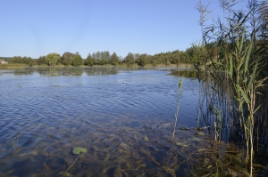 Одній із громад на Тернопільщині повернули споруди, вартістю майже 150 000 гривень