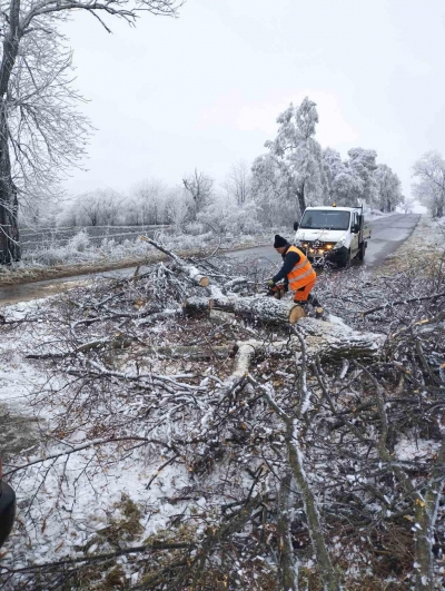 Посипання доріг та прибирання повалених дерев: впродовж вихідних дорожники Тернопільщини працювали у посиленому режимі