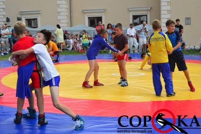 Біля входу до тернопільського замку провели кубок з греко-римської боротьби (фото)