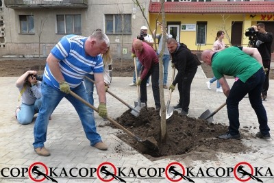 В одному з тернопільських скверів посадили 127 вартісних саджанців (фото)