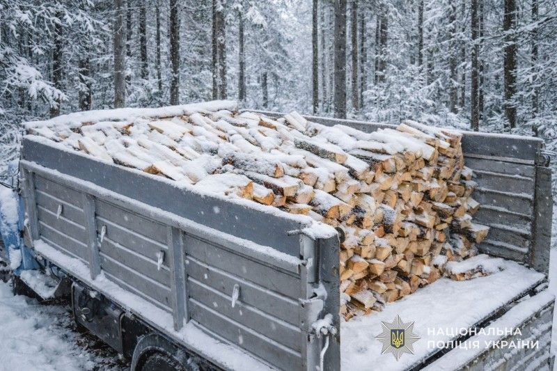 Купівля дров через соцмережі обернулася для жительки Тернопільщини втратою коштів