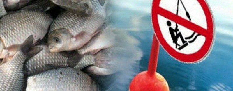 Вже завтра на Тернопільщині діятиме заборона на лов риби