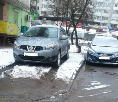 У Тернополі мешканці двору скаржаться на нічного гостя (фотофакт)