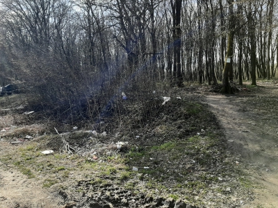 На Тернопільщині весь ліс закидали сміттям (фото)