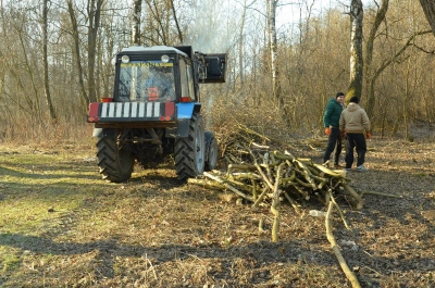 Освітлення, зони відпочинку та барбекю: на Тернопільщині оновлюють закинутий парк